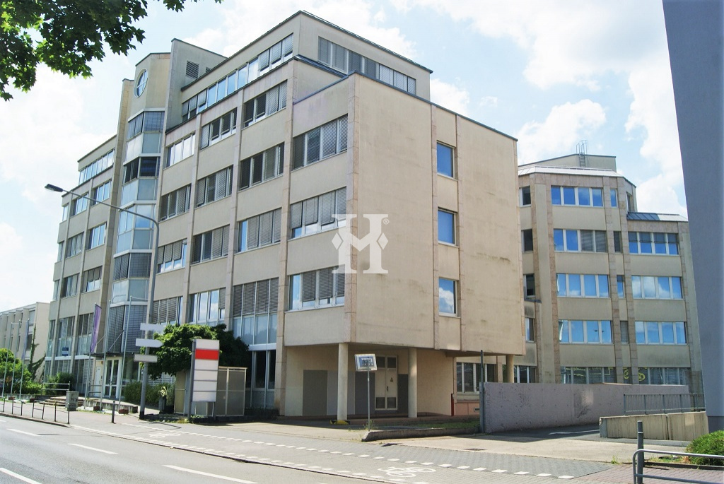 Frankfurt 60388, Hessen, ,Büro Frankfurt,Miete,Borsigallee,11552