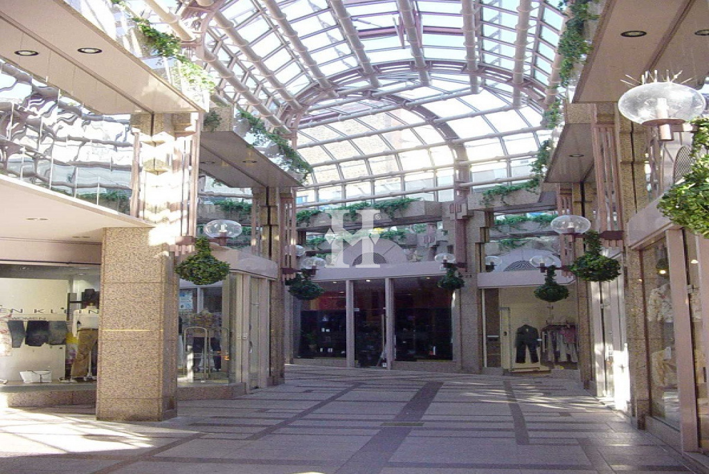 Wiesbaden 65183, Hessen, ,Einzelhandel,Miete,Wilhelmstraße,11690