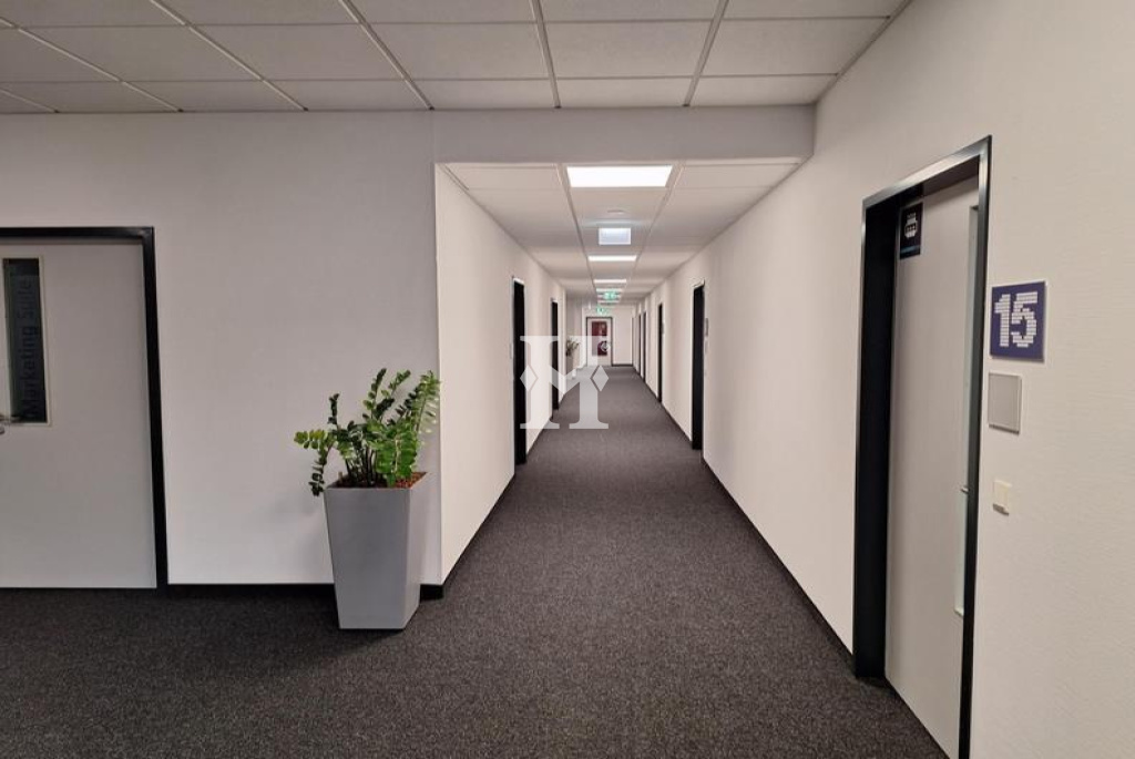Offenbach 63073, Hessen, ,Büro Umland,Miete,12053