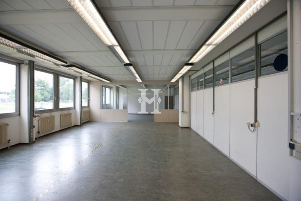 Pfungstadt 64319, Hessen, ,Büro Umland,Miete,12054