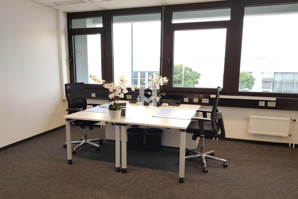 Alzenau 63755, Hessen, ,Büro Umland,Miete,12438