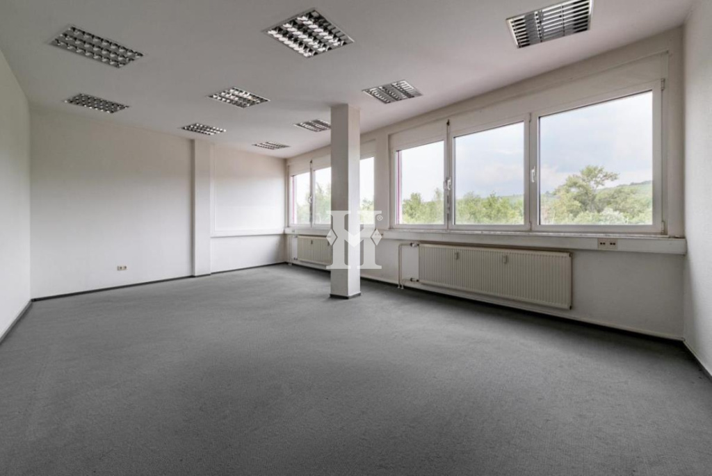 Bingen 55411, Rheinland-Pfalz, ,Büro Umland,Miete,12493