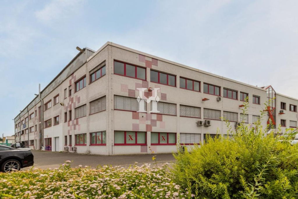 Bingen 55411, Rheinland-Pfalz, ,Büro Umland,Miete,12493