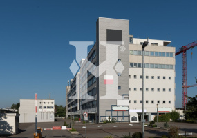 Dreieich 63303, Hessen, ,Büro Umland,Miete,12501