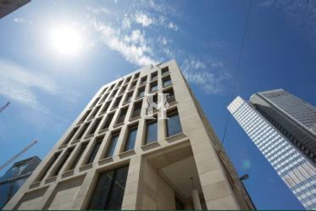 Frankfurt 60311, Hessen, ,Büro Frankfurt,Miete,12533