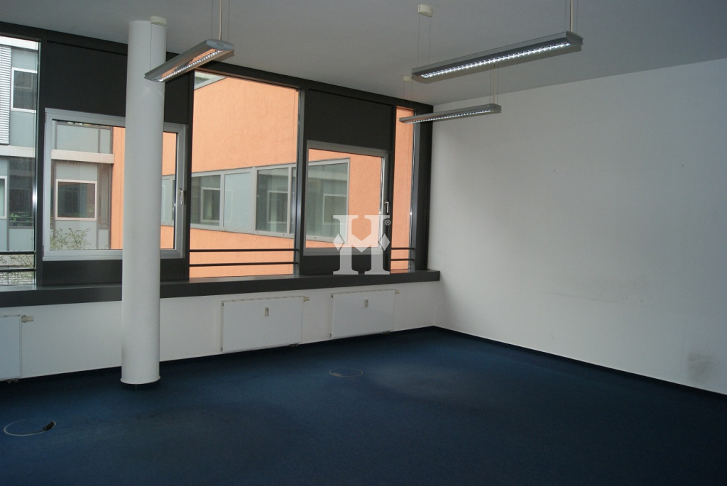 Frankfurt 60487, Hessen, ,Büro Frankfurt,Miete,12738