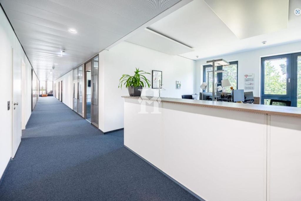 Frankfurt 60549, Hessen, ,Büro Frankfurt,Miete,12857