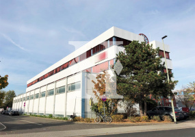 Kelsterbach 65451, Hessen, ,Büro Frankfurt,Miete,13643