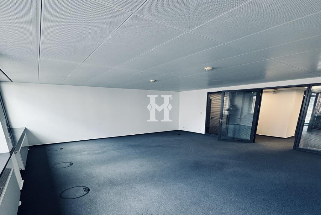 Frankfurt 60313, Hessen, ,Büro Frankfurt,Miete,13678