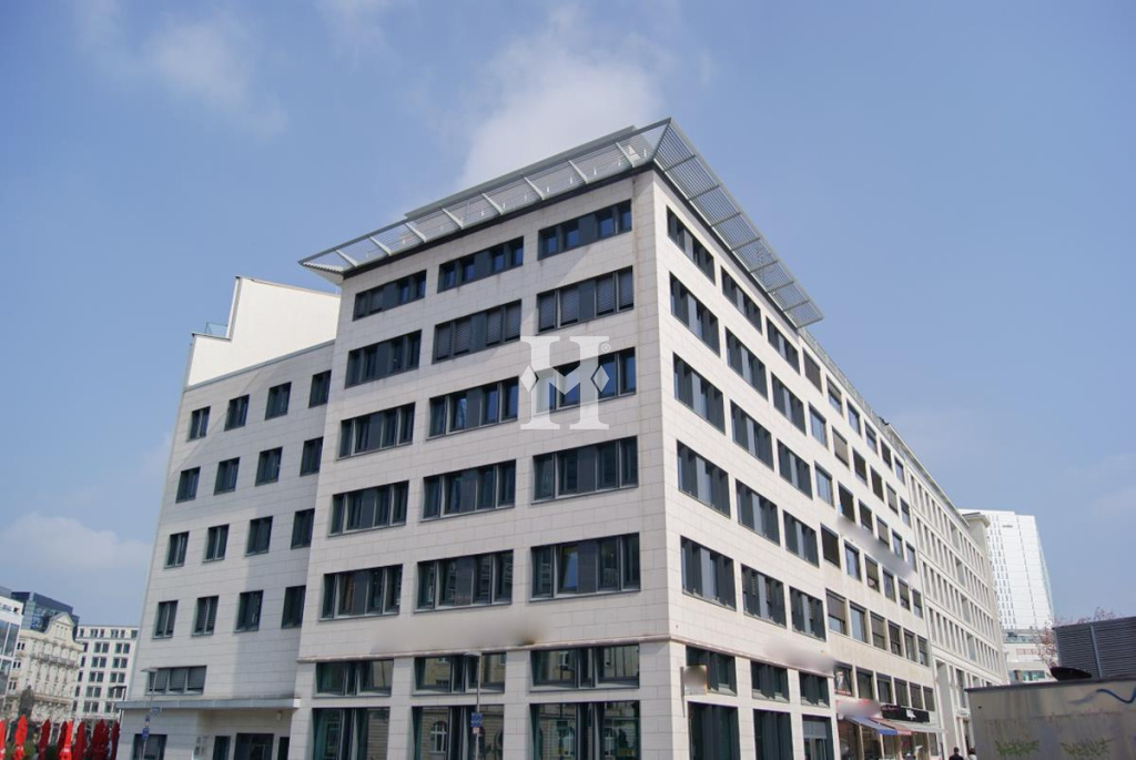 Frankfurt 60311, Hessen, ,Büro Frankfurt,Miete,13790