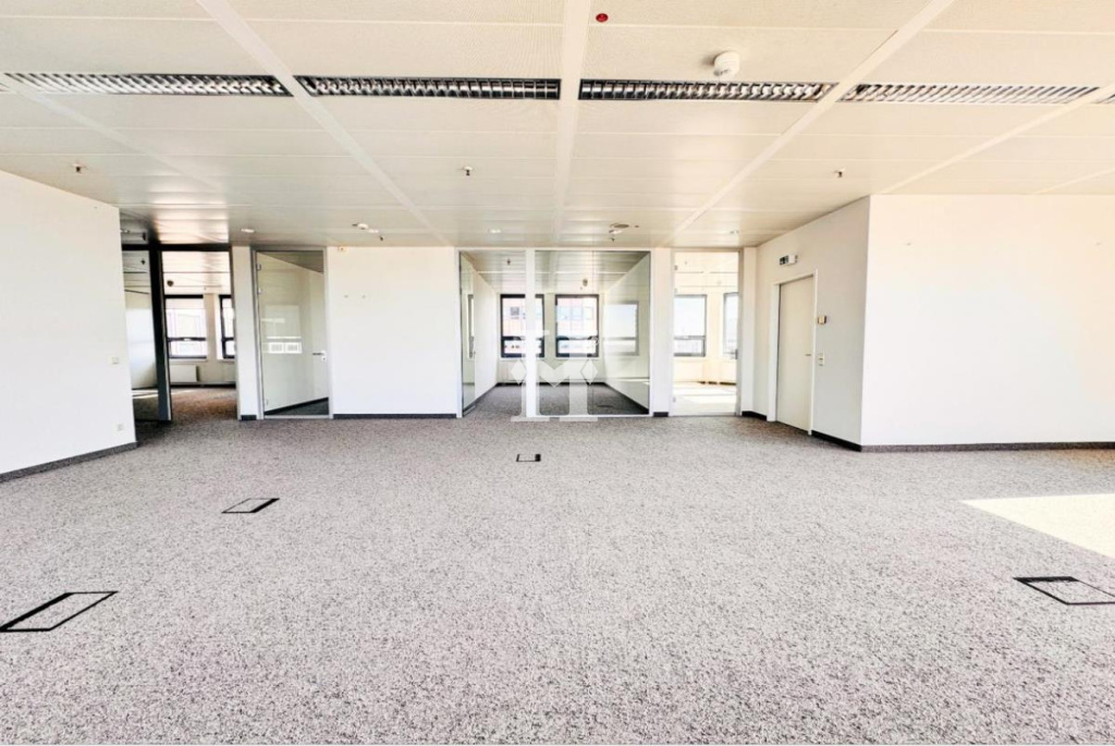 Frankurt 60528, Hessen, ,Büro Frankfurt,Miete,13841