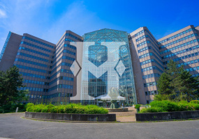 Frankurt 60528, Hessen, ,Büro Frankfurt,Miete,13841