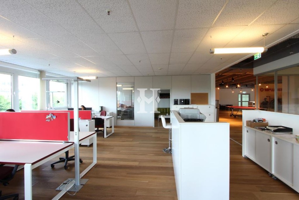 Schwalbach 65824, Hessen, ,Büro Umland,Miete,14048