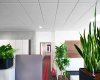 Weßling 82234, Bayern, ,Büro Umland,Miete,14127