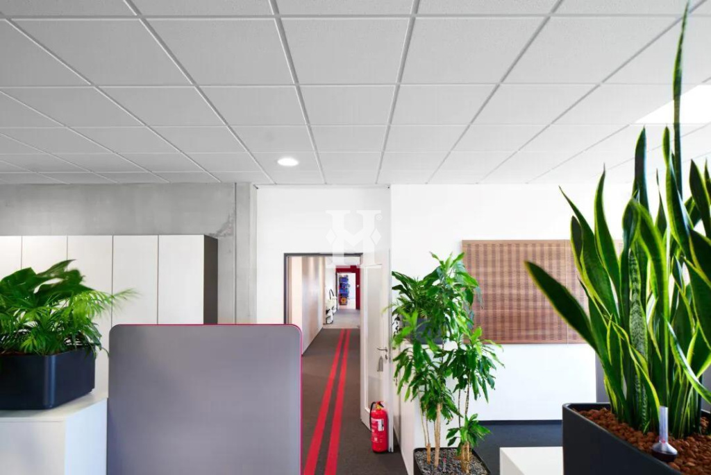 Weßling 82234, Bayern, ,Büro Umland,Miete,14127
