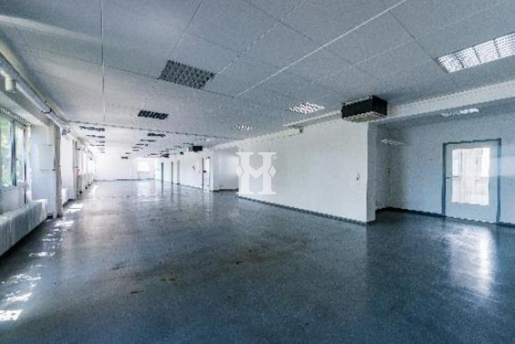 Frankfurt 60388, Hessen, ,Büro Frankfurt,Miete,14252