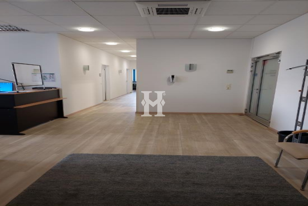 Frankfurt 60488, Hessen, ,Büro Frankfurt,Miete,14416