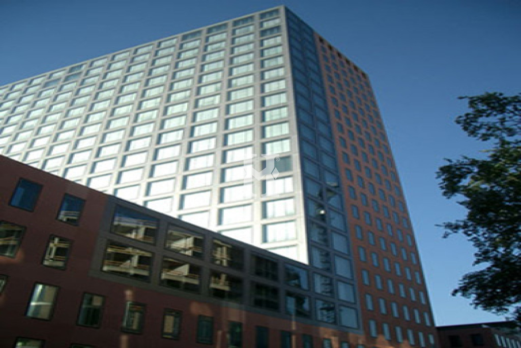 Frankfurt 60329, Hessen, ,Büro Frankfurt,Miete,14433