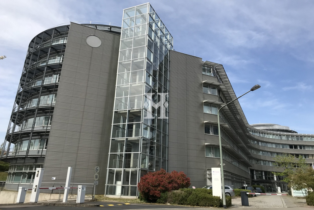 Heddernheim 60439, Hessen, ,Büro Umland,Miete,14526