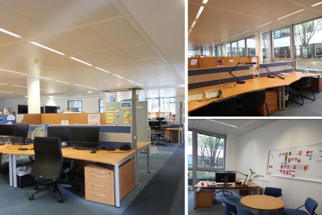 Frankfurt 60487, Hessen, ,Büro Frankfurt,Miete,14840