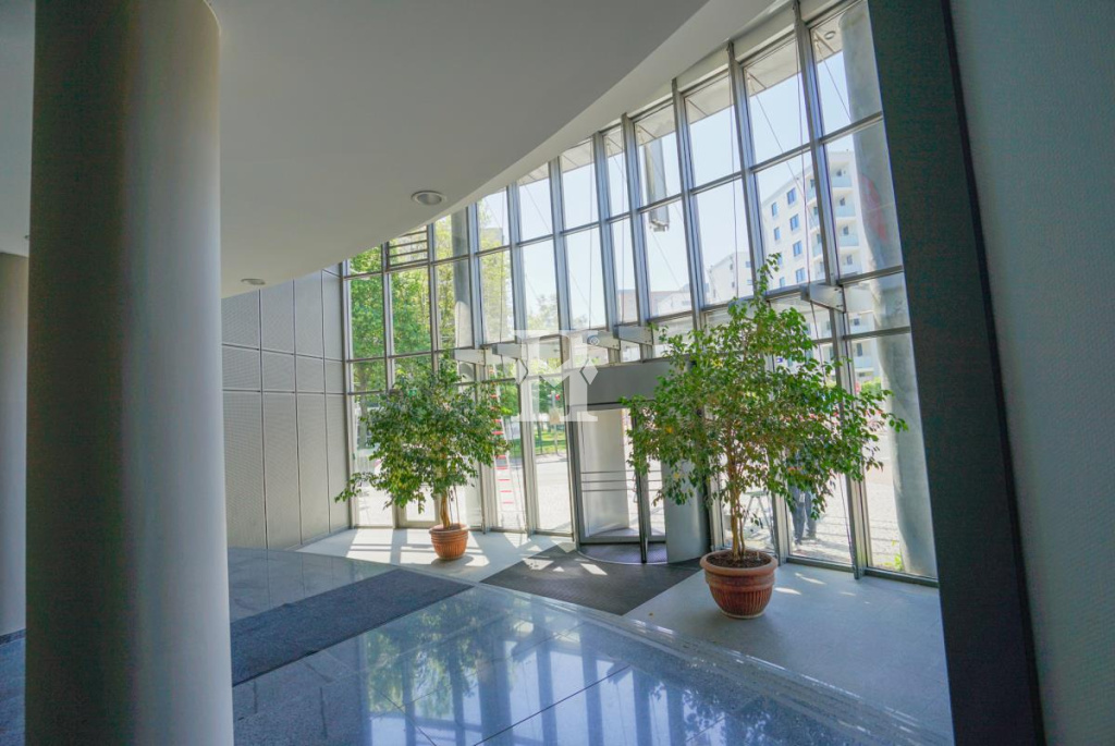 Frankfurt 60528, Hessen, ,Büro Frankfurt,Miete,14847