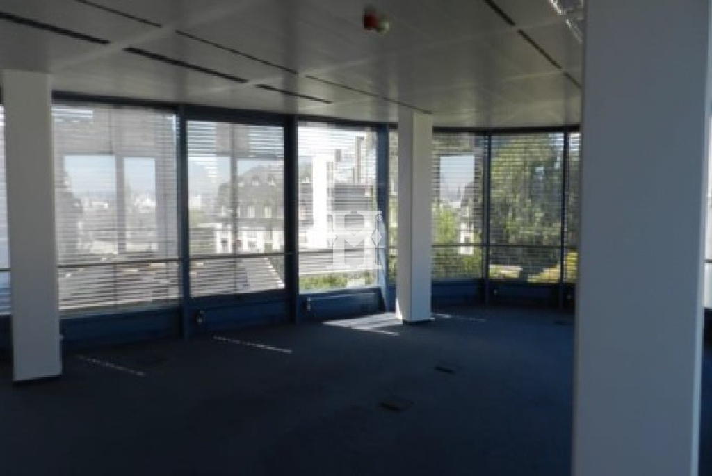 Frankfurt am Main 60598, Hessen, ,Büro Frankfurt,Miete,14871