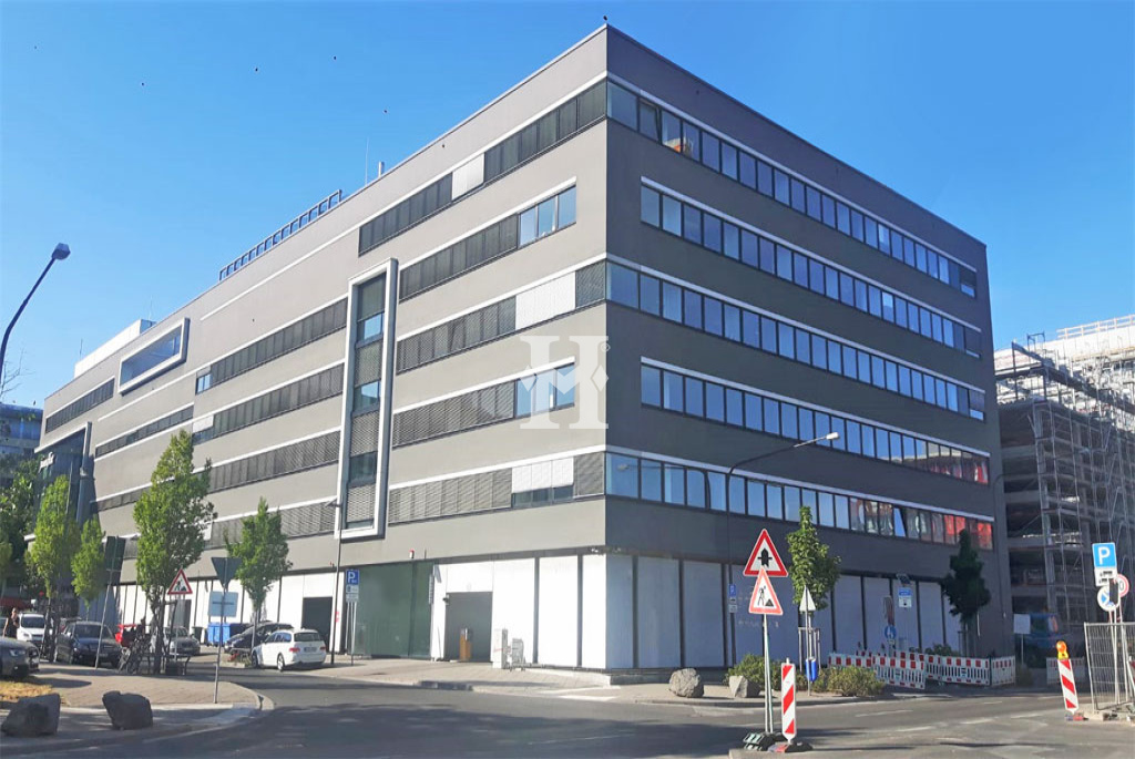 Frankfurt 60314, Hessen, ,Büro Frankfurt,Miete,14914