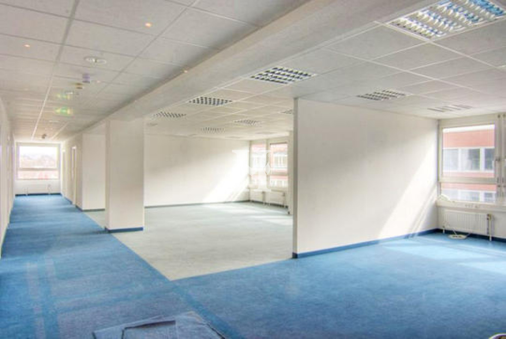 Frankfurt 60599, Hessen, ,Büro Frankfurt,Miete,14957