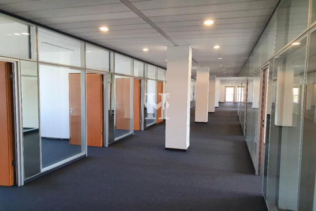 Langen 63225, Hessen, ,Büro Umland,Miete,15268