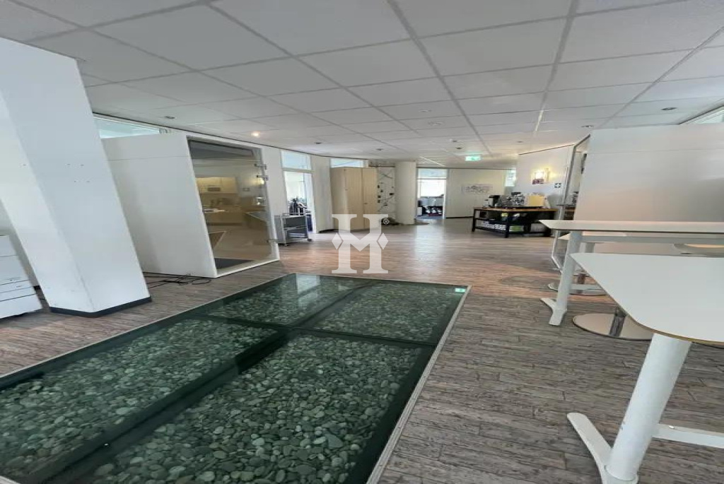 Freiburg 79111, Baden-Württemberg, ,Büro Umland,Miete,15302