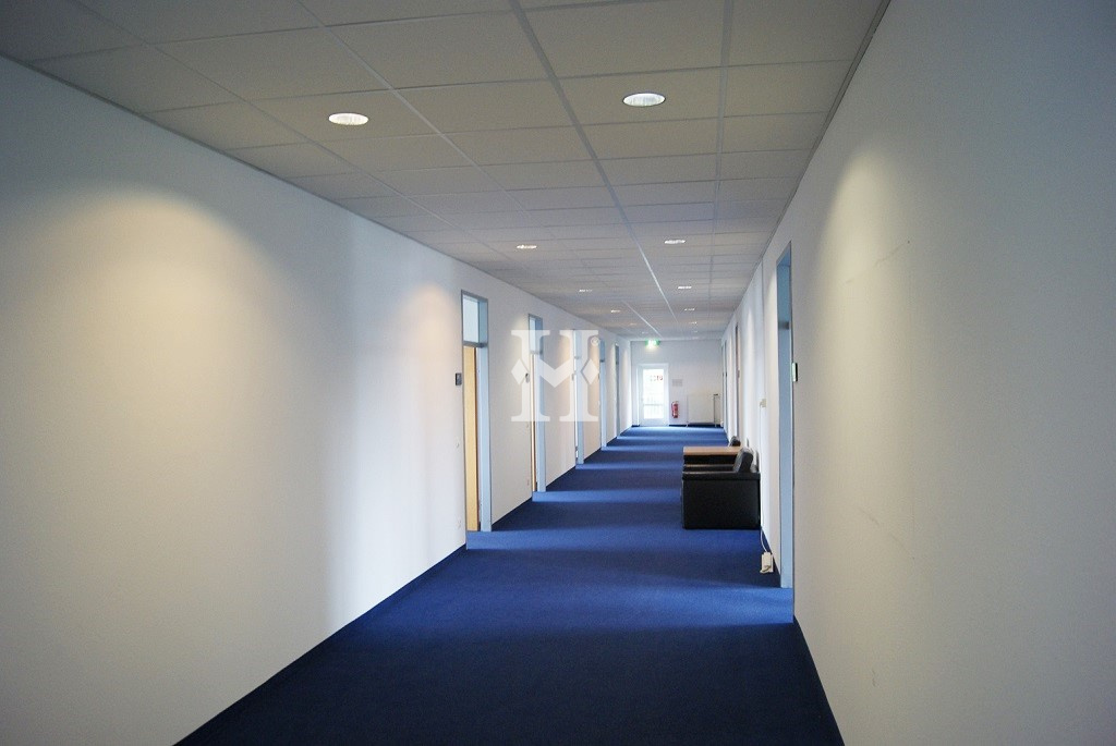 Langen 63225, Hessen, ,Büro Umland,Miete,858363