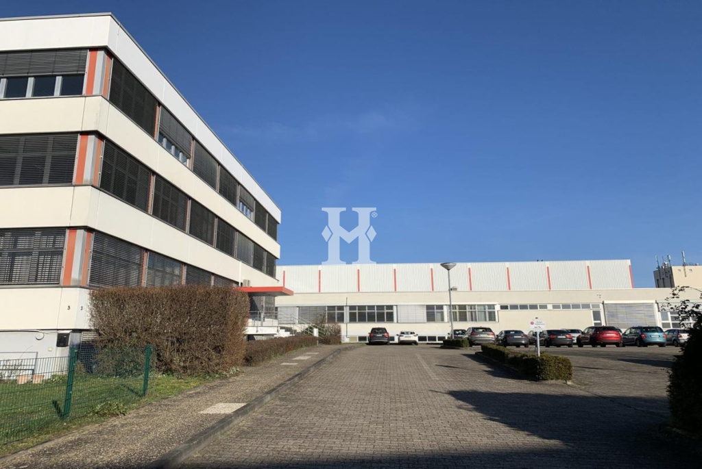Kelkheim 65779, Hessen, ,Büro Umland,Miete,858589