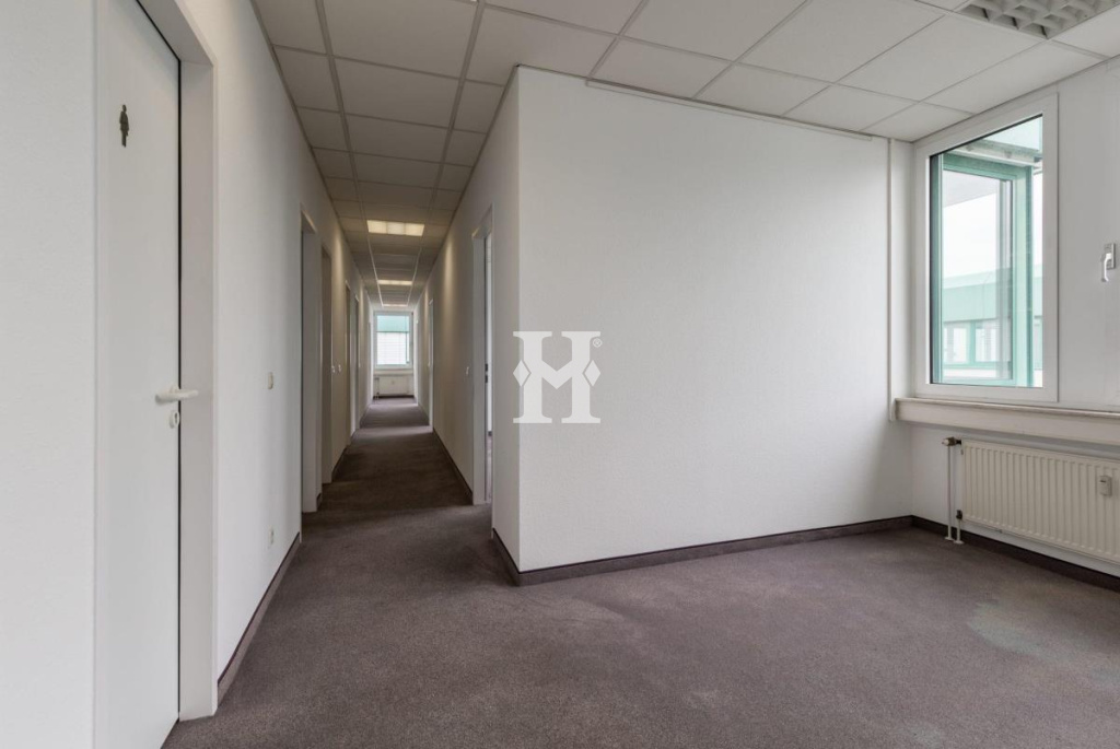 Düsseldorf 40595, Nordrhein-Westfalen, ,Büro Umland,Miete,858626