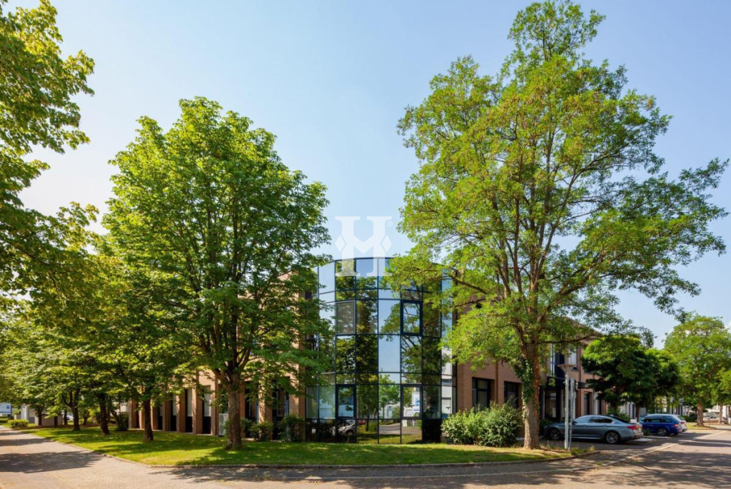Düsseldorf 40595, Nordrhein-Westfalen, ,Büro Umland,Miete,858626