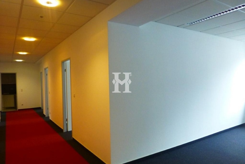 Frankfurt 60325, Hessen, ,Büro Frankfurt,Miete,Bettinastraße,3120