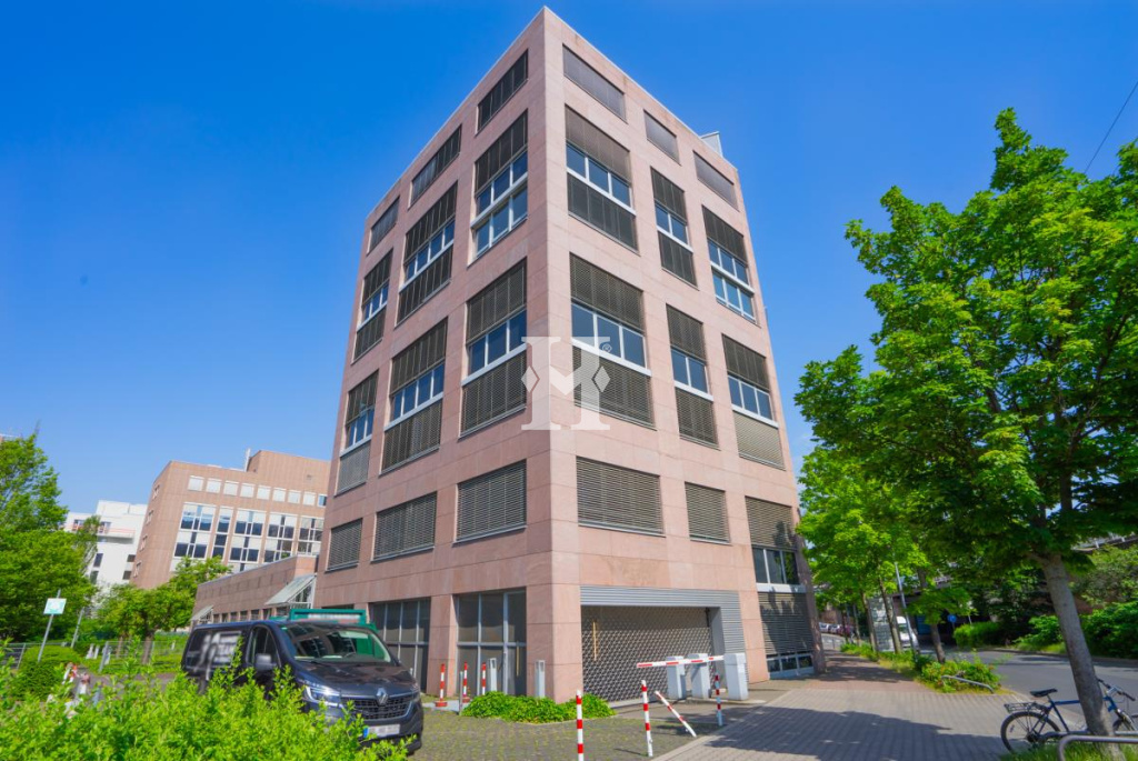 Frankfurt am Main 60486, Hessen, ,Büro Frankfurt,Miete,Voltastraße,4798