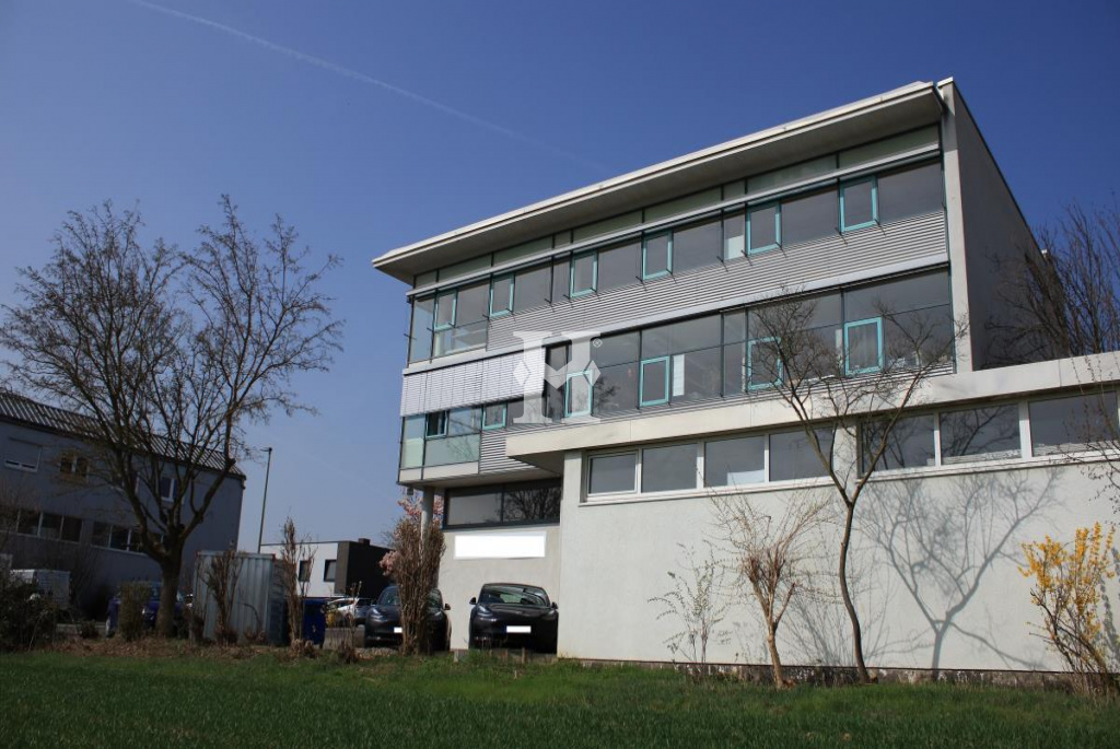 Flörsheim 65439, Hessen, ,Büro Umland,Miete,Industriestraße,6382