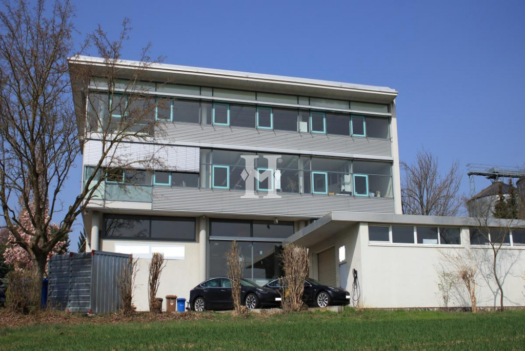 Flörsheim 65439, Hessen, ,Büro Umland,Miete,Industriestraße,6382