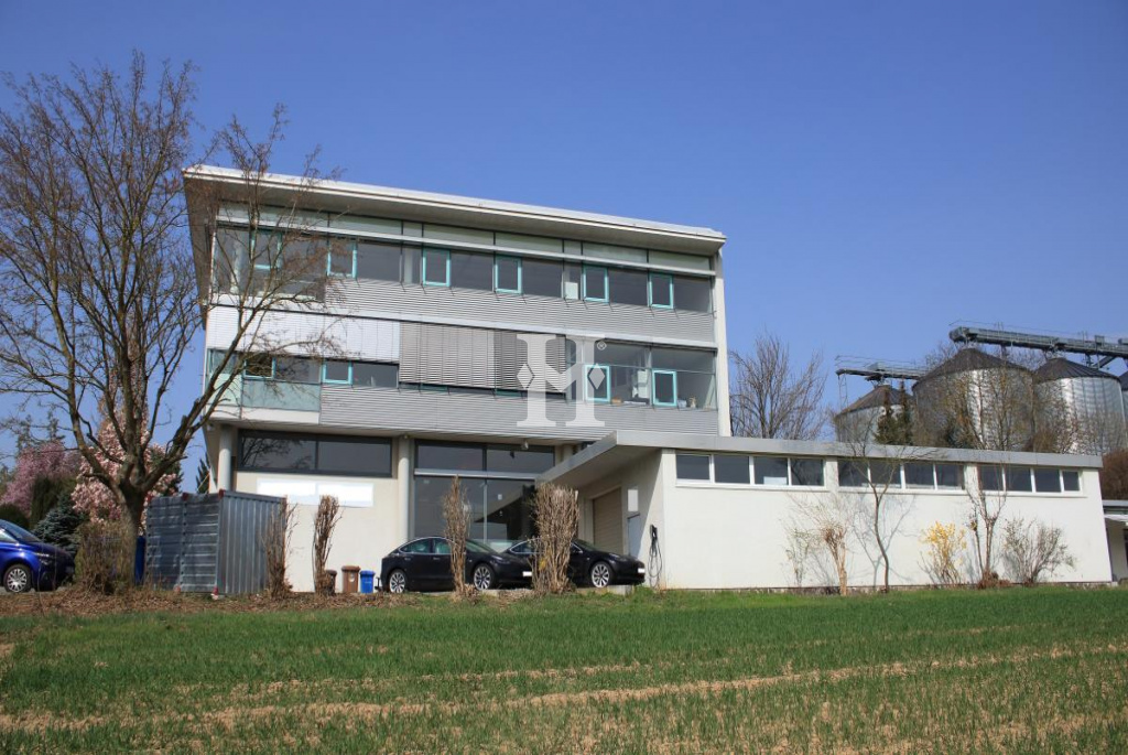 Flörsheim 65439, Hessen, ,Büro Umland,Miete,Industriestraße,6382