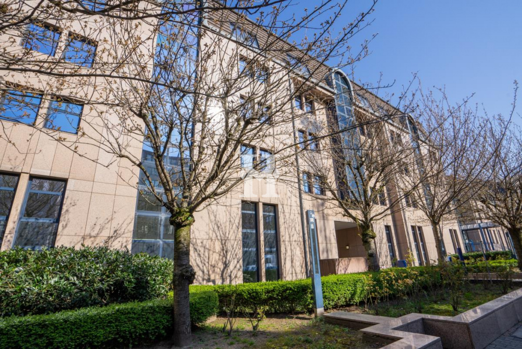 Frankfurt 60328, Hessen, ,Büro Frankfurt,Miete,Westendstraße,6848