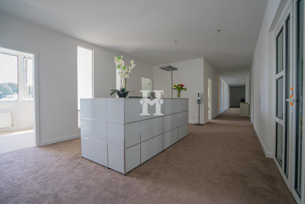 Dreieich 63303, Hessen, ,Büro Umland,Miete,Max Planck Straße ,8733
