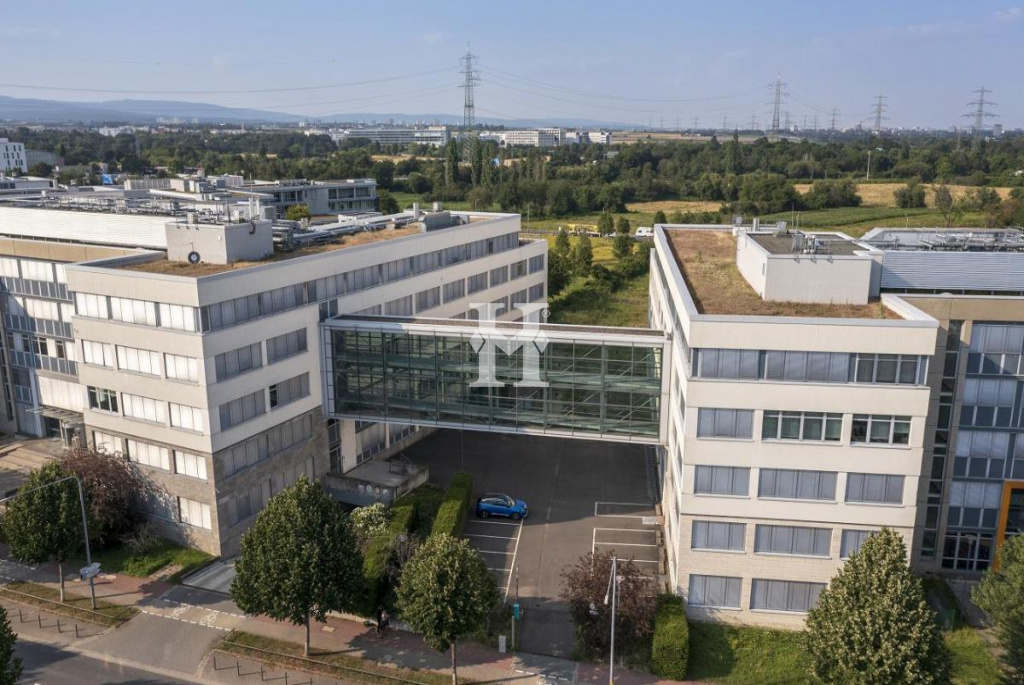 Fran kfurt 65936, Hessen, ,Büro Frankfurt,Miete,Wilhelm-Fay-Straße,9599