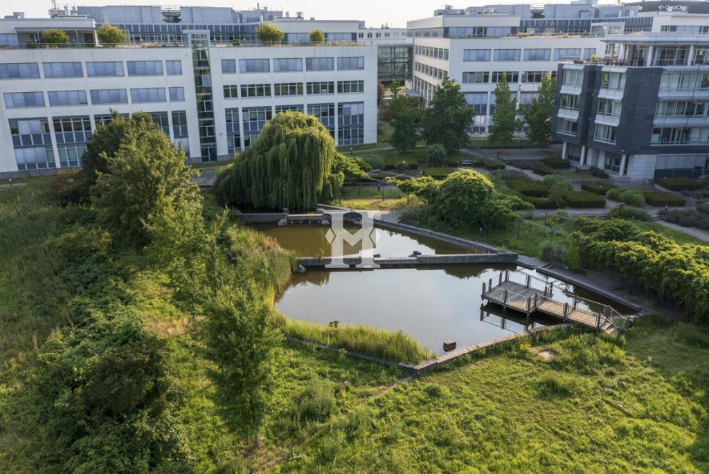 Fran kfurt 65936, Hessen, ,Büro Frankfurt,Miete,Wilhelm-Fay-Straße,9599
